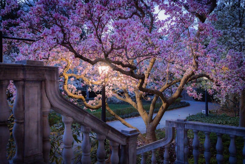 Spring season